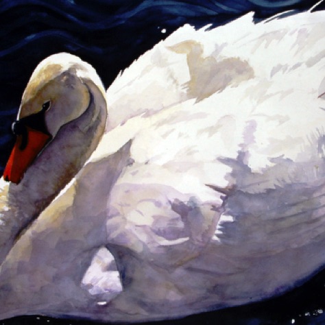 Swan #3
22x30
FRAMED